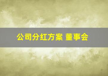 公司分红方案 董事会